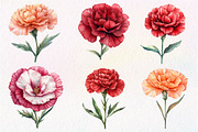 Watercolor Carnation Flower Clipart, an Illustration by Dream Creation (Thumbnail 3 of 6)