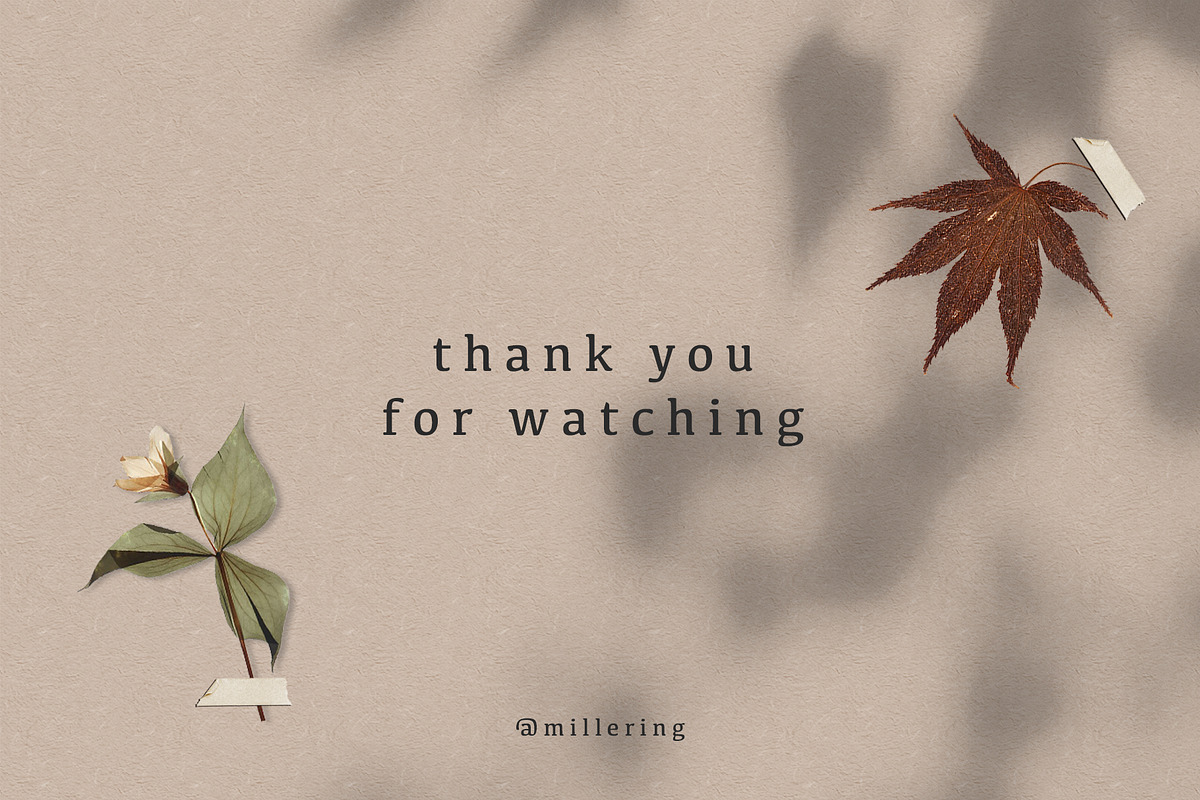 Abstract Autumn Collection, a Decorative Illustration by millering (Photo 10 of 10)
