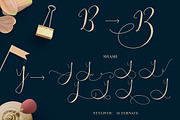 Be Grateful Script, a Script Font by Dirtyline Studio (Thumbnail 11 of 11)
