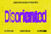 Stretch & Bleed - Brutalist Font, a Sans Serif Font by Aiyari (Thumbnail 4 of 13)