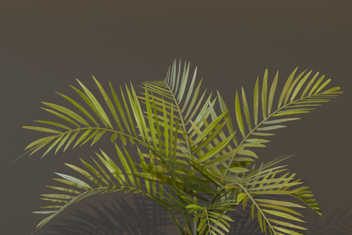 The Alexandra Palm Bush, a Plants & Tree 3D Model by FuturePastCreatives (Photo 13 of 15)