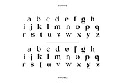 Hanoble - Modern Ligature Serif, a Serif Font by Vesvocrea (Thumbnail 9 of 13)
