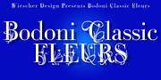 Bodoni Classic Fleurs, a Serif Font by Wiescher-Design (Thumbnail 1 of 7)