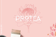 Tropical Romance modern floral rose, an Illustration by January Bloom (Thumbnail 22 of 29)