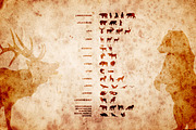 Adventure Design Bundle, an Icon by Calvin Weibel (Thumbnail 3 of 12)