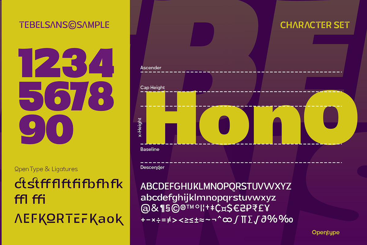 Tebel Sans - Sans Serif Font Family, a Sans Serif Font by Ardyanatypes (Photo 8 of 12)