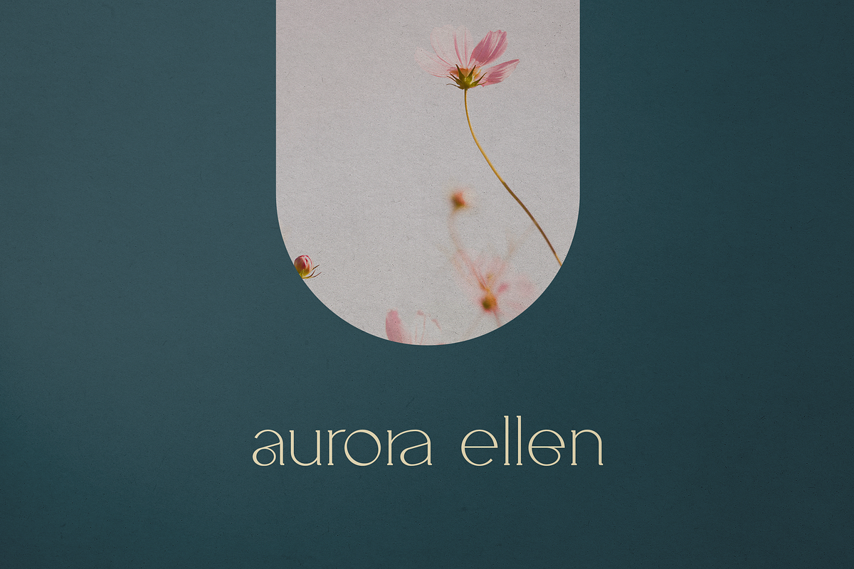 Salve - Elegant Serif + Cyrillic, a Serif Font by VP Fonts (Photo 5 of 20)