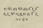 Qamille - Modern Classic Serif Font, a Serif Font by StudioinBry (Thumbnail 8 of 13)