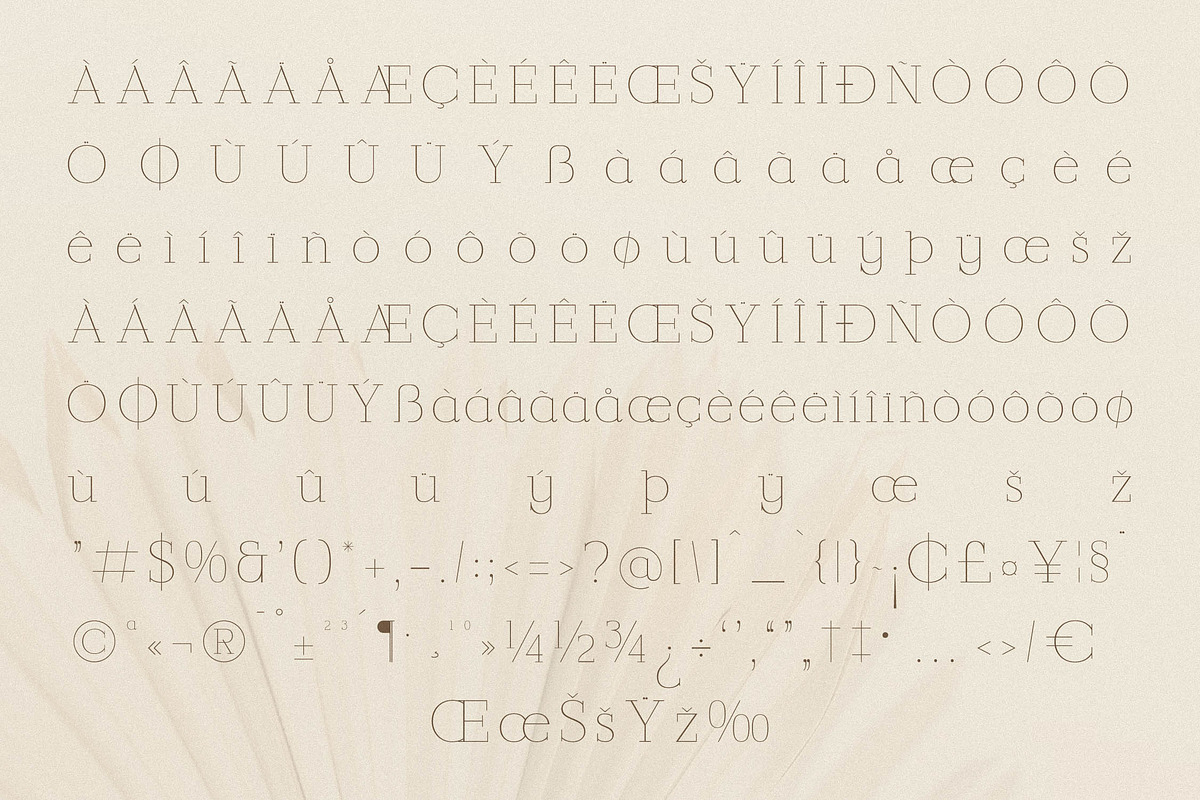 Callidora New Modern Serif, a Serif Font by Storytype Studio (Photo 14 of 15)