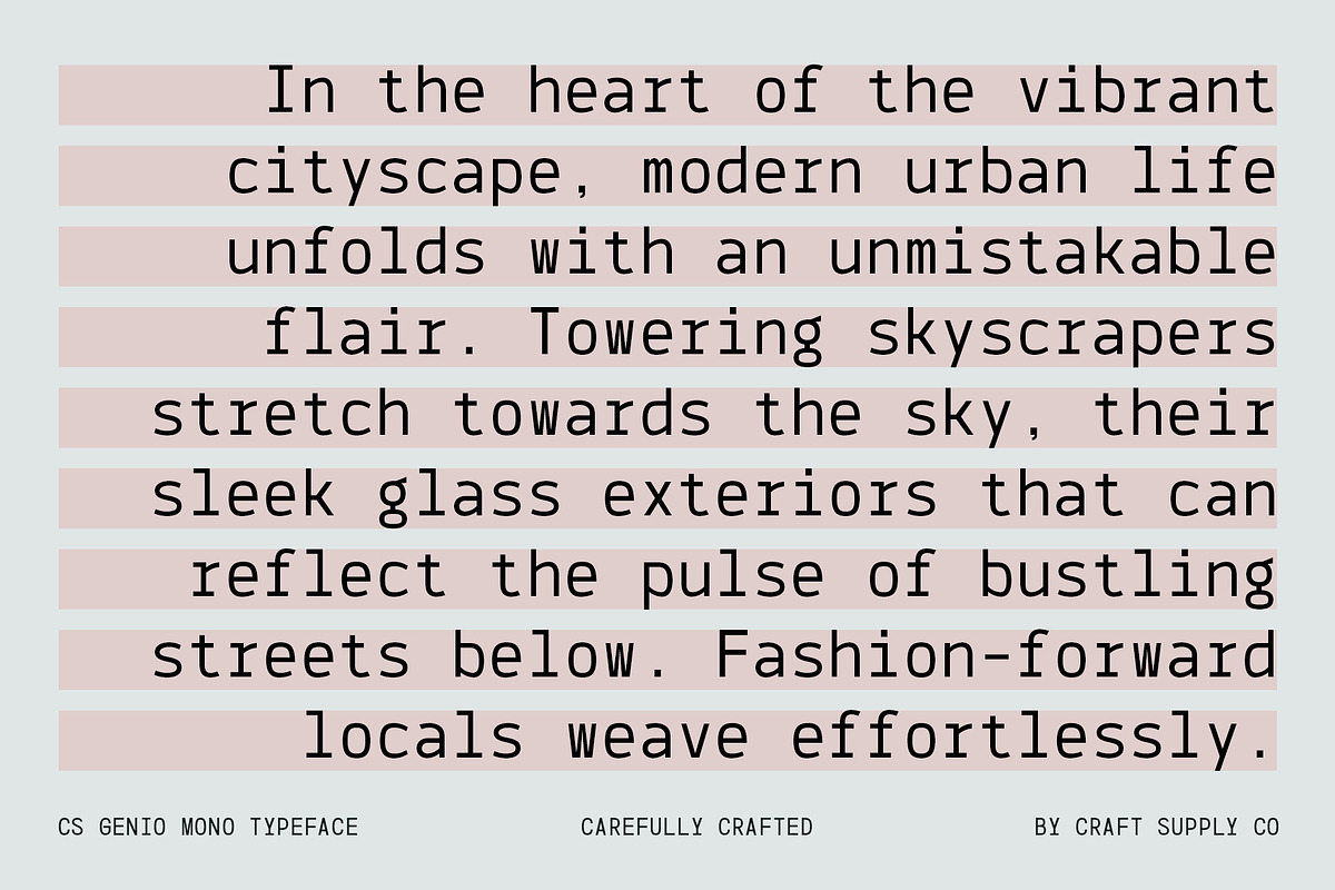 CS Genio Mono – Monospaced Typeface, a Sans Serif Font by Craft Supply Co. (Photo 3 of 8)