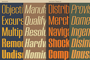 Initiate Collection, a Sans Serif Font by Stiggy & Sands (Thumbnail 3 of 9)