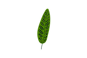 Tropical Palm Tree Leaf, Green