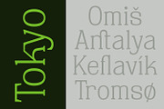 Sichra Typeface - Relaxed Slab Serif, a Slab Serif Font by Khoir (Thumbnail 11 of 13)