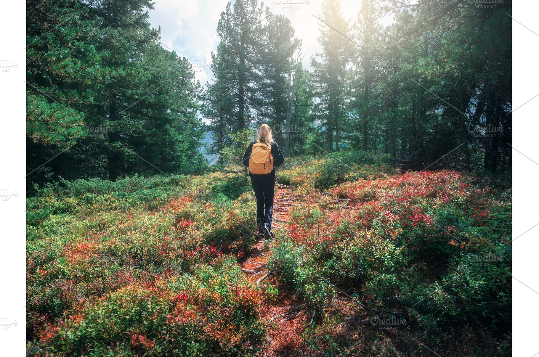 Young woman with yellow backpack, a Nature Photo by den-belitsky