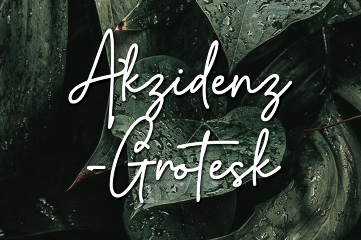 Artecallya, a Script Font by GlottaTypeface (Photo 2 of 8)