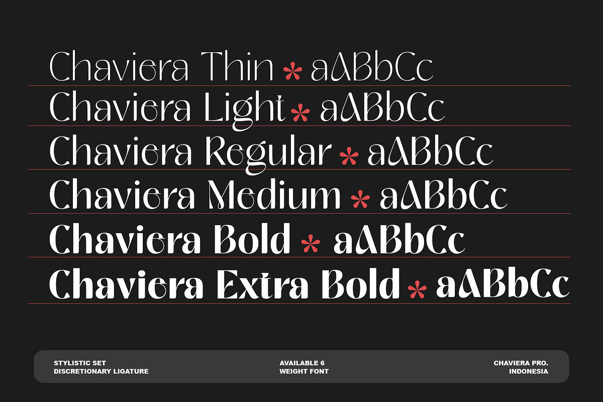 Chaviera Pro Family, a Sans Serif Font by INKSUN™ (Photo 8 of 12)