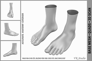 Human Feet Standing Base Mesh