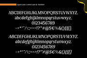 FX Njungkel - Serif Family Font, a Serif Font by Differentialtype (Thumbnail 11 of 12)