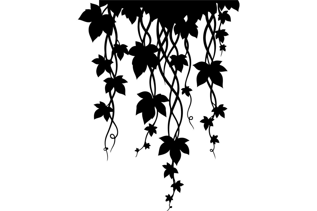 Hanging Vines Silhouette, an Object Graphic by Creativeshirt (Photo 3 of 20)