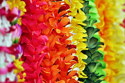 LEI'S OF HAWAII {Instagram stock}, a Photo by KABSPHOTOGRAPHY (Thumbnail 3 of 7)