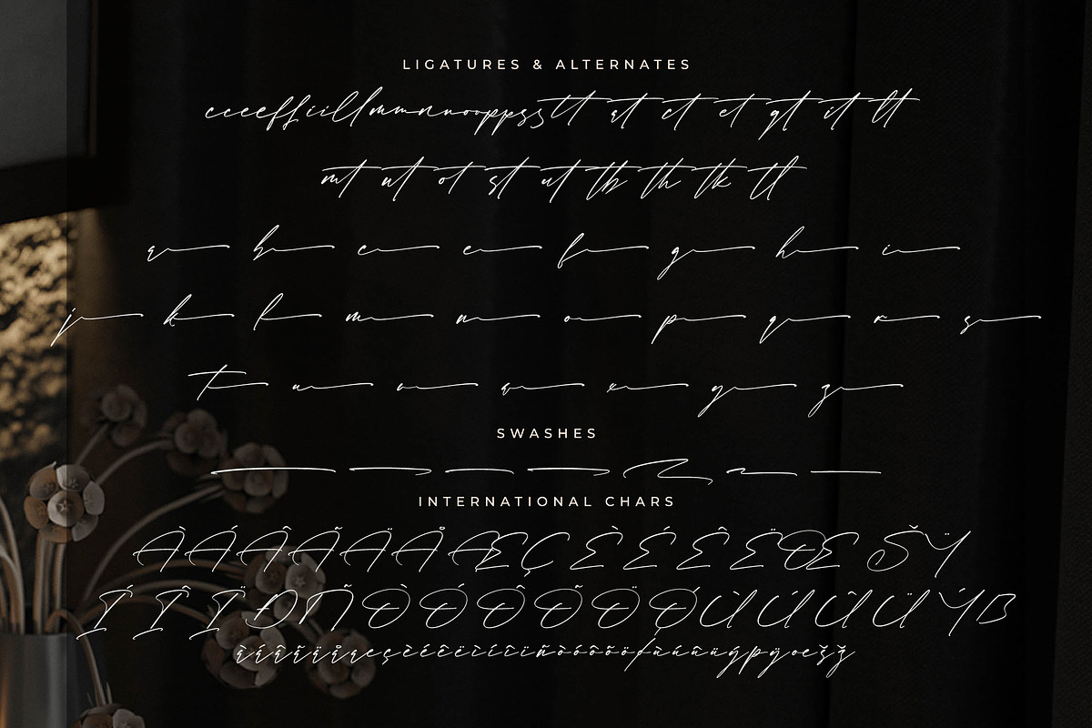 Rosatlinde Elegant Signature Script, a Script Font by Letterena Studios Script (Photo 14 of 15)