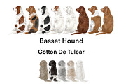 Dog Breeds Clipart, an Animal Illustration by ColorfulPT (Thumbnail 5 of 8)