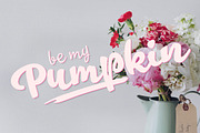 Takeaway -50% off!, a Script Font by Fenotype (Thumbnail 14 of 14)