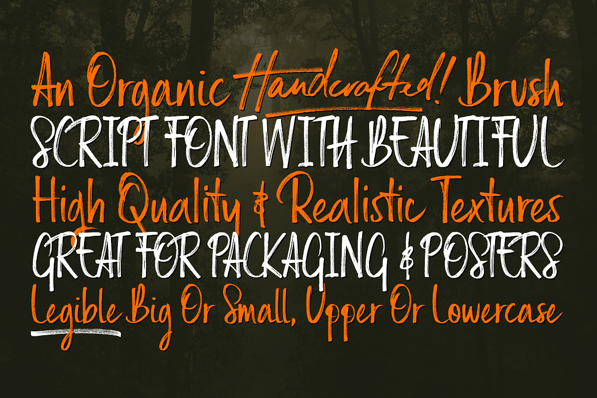 Russell Brush Script Font preview 4