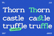 GC Regain - Display Bold Slab Serif, a Slab Serif Font by Glyphonic (Thumbnail 14 of 15)