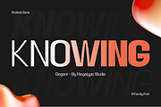 Gegant Font, a Sans Serif Font by Megatype (Thumbnail 13 of 15)
