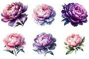 Pink & Purple Peony Flowers Clipart, an Illustration by Watercolor design (Thumbnail 3 of 4)