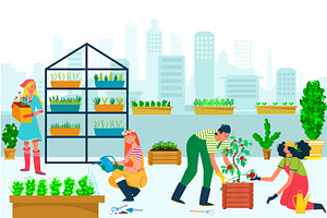 Urban garden with plant concept