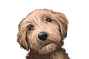Dogs Cross Breeds 56 Animals Bundle, an Animal Illustration by Dneprstock (Thumbnail 20 of 55)