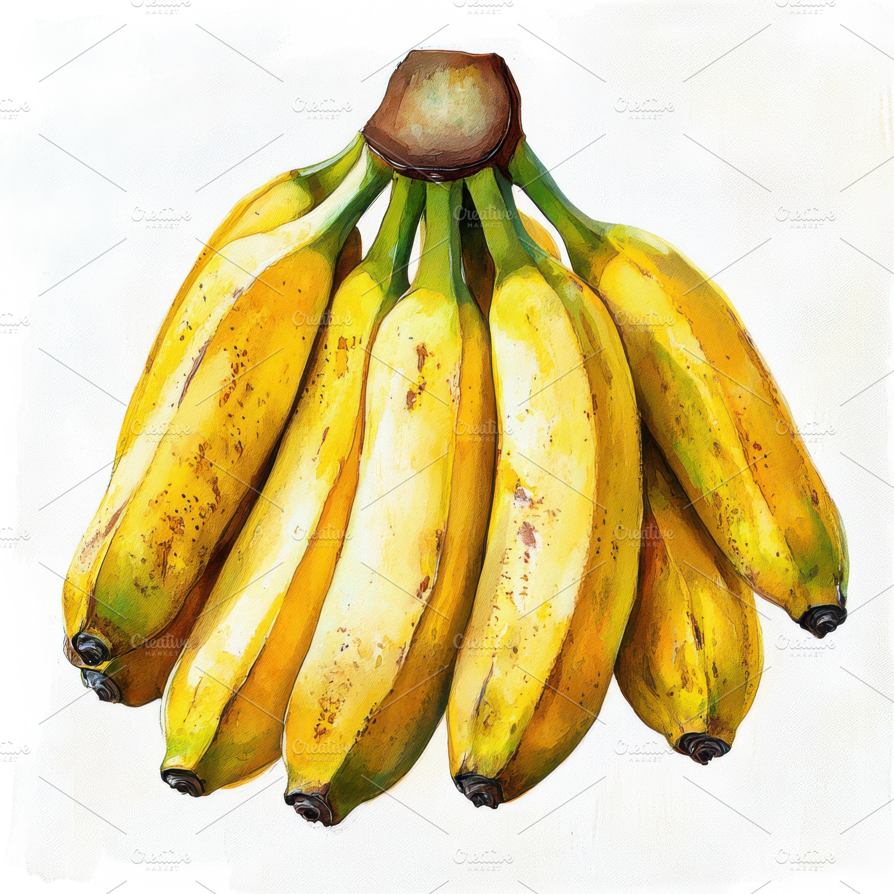 Bunch of bananas fruits isolated on, a Food & Drink Photo by Pixeness Studio