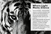 40 Animal Portraits – B&W Collection, an Animal Photo by Virgo Studio (Thumbnail 2 of 6)