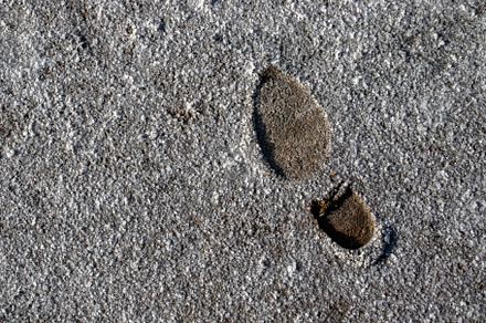 Footprint in granular, textured sand