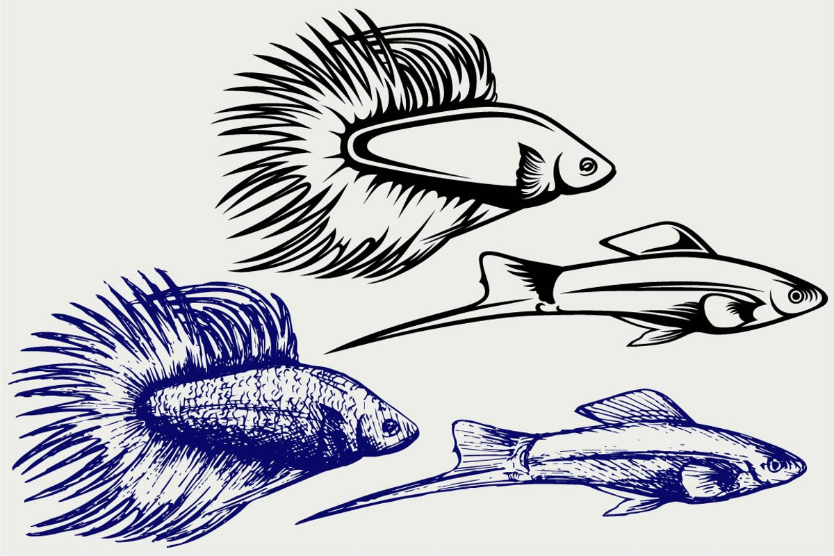 Peaceful aquarium fish SVG, an Outline Icon by LineworkStock