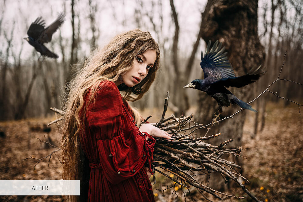 Bird Overlays Photoshop, a Plug-in Add-On by FixThePhoto (Photo 3 of 32)