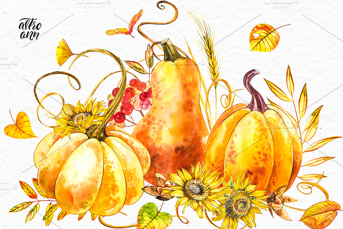 Pumpkins watercolor collection, a Food Illustration by Ann Astro (Photo 16 of 17)