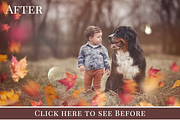 Colorful Fall Photo Overlays preview 2