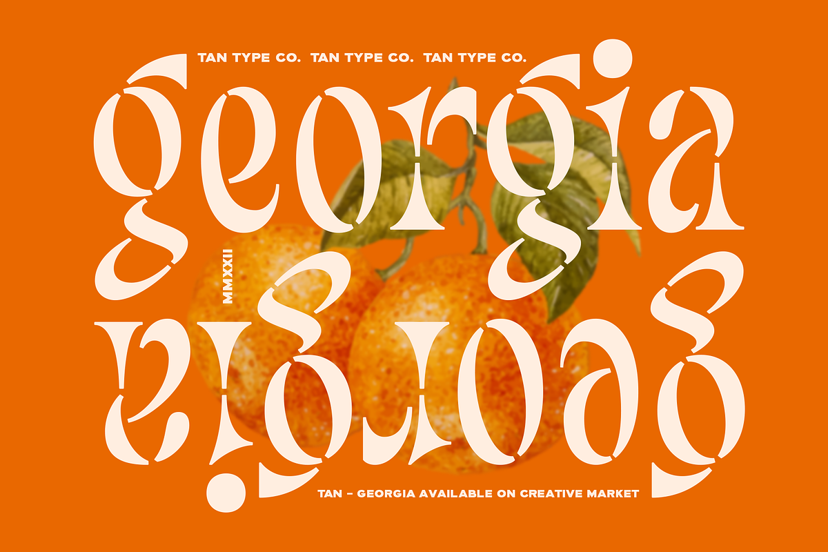 TAN - GEORGIA, a Serif Font by TanType (Photo 1 of 8)