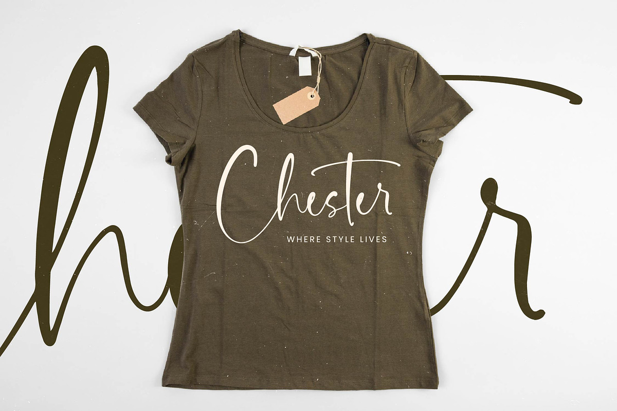 Delicately Stylish Handwritten Font, a Serif Font by stylishtype.co (Photo 5 of 20)