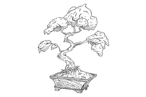 Bonsai tree in pot. Vintage black, an Object Illustration by MoreVector