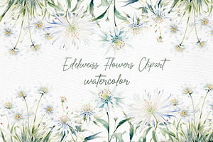 White Flowers Clipart Eucalyptus