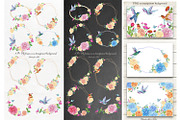 Tropical Birds Hummingbird Flowers, an Illustration by MitrushovaArt (Thumbnail 3 of 5)