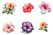 Watercolor Hibiscus Clipart, an Illustration by Designworld (Thumbnail 2 of 5)