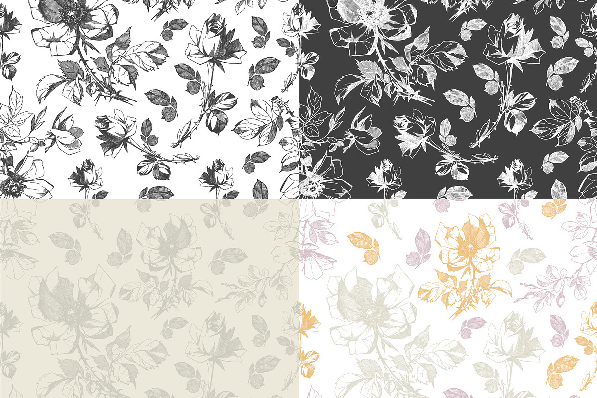 Vintage Botanical Vector Set, a Decorative Illustration by Pingebat (Photo 5 of 18)
