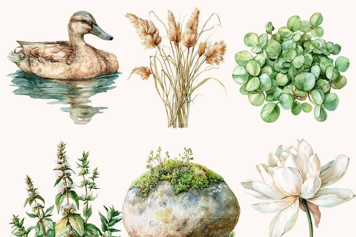 Watercolor Summer Pond Nature, an Object Illustration by BusyDaydesign (Photo 5 of 9)