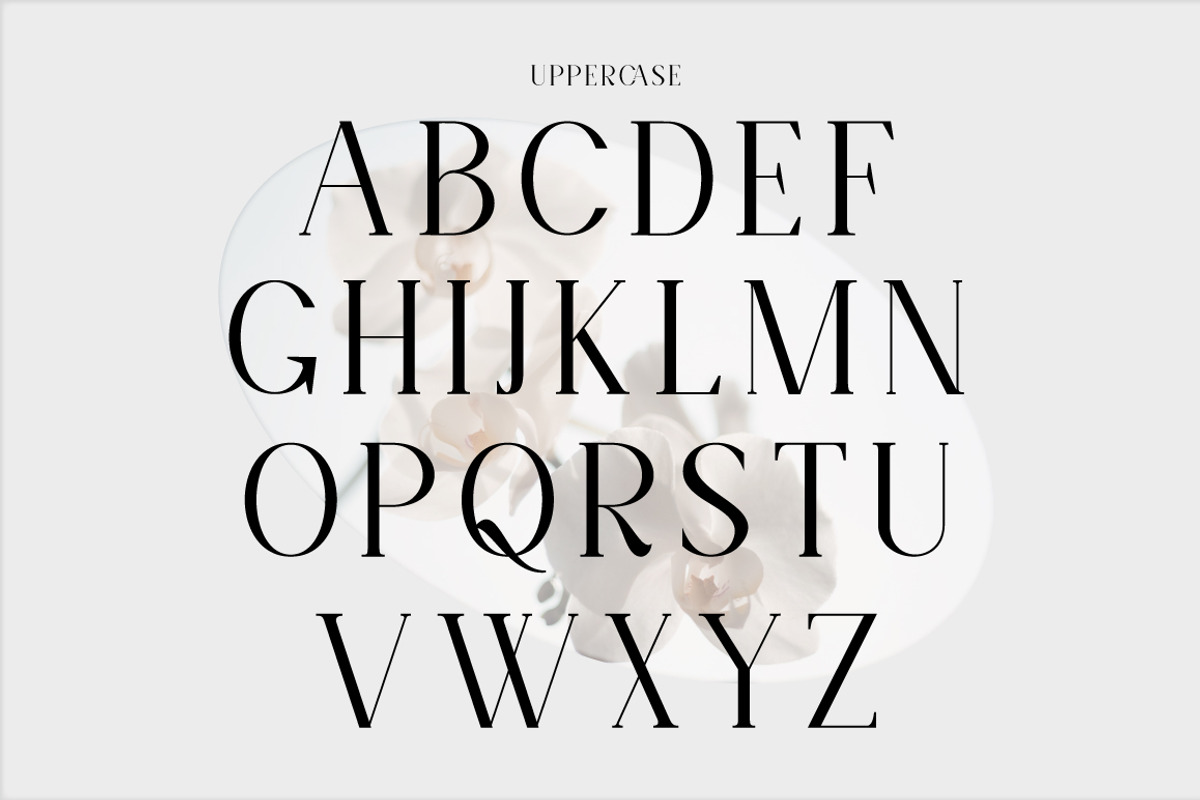 Norsel - Elegant Serif, a Serif Font by Cut Story (Photo 14 of 14)