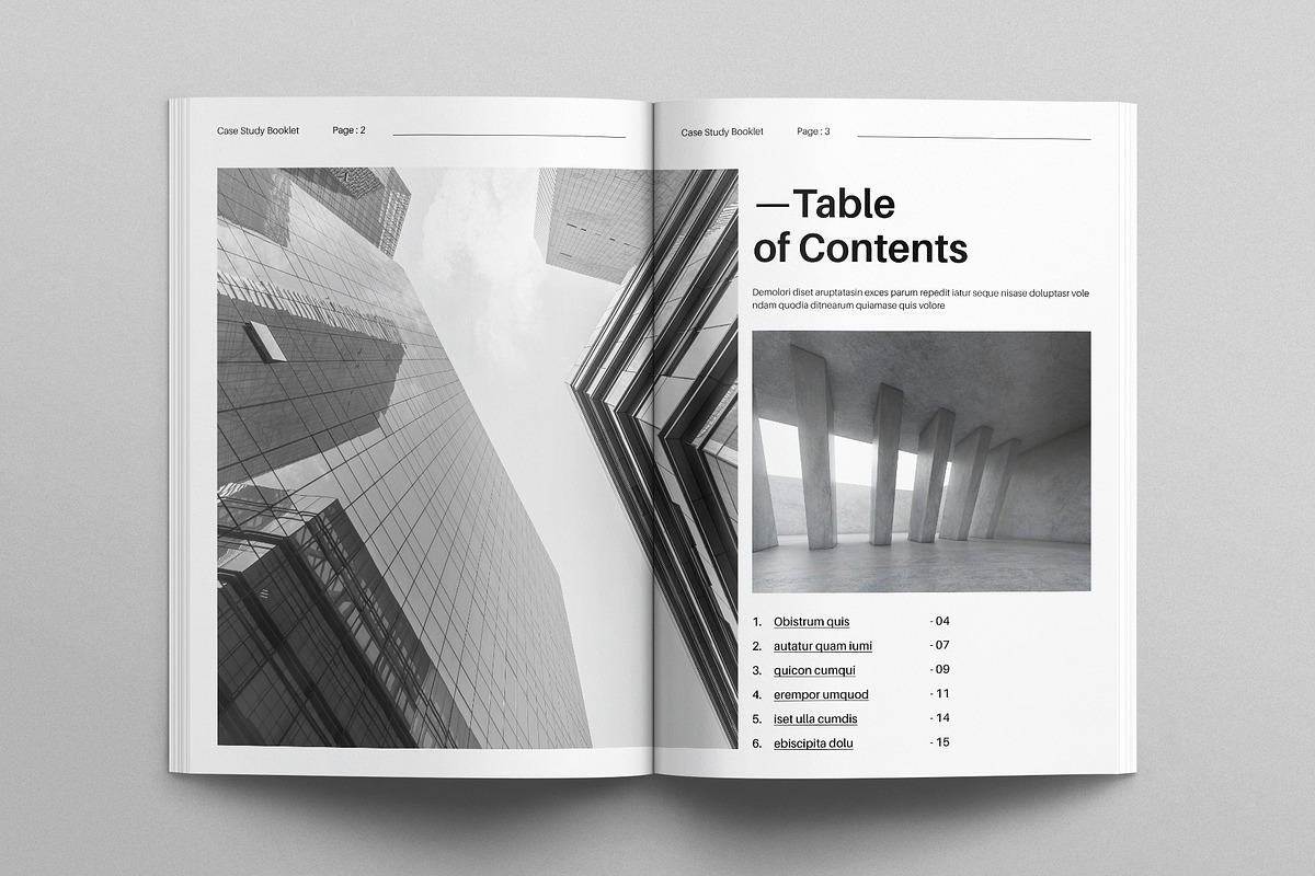 Digital Case Study Booklet Template, a Brochure Template by E-Type (Photo 2 of 7)